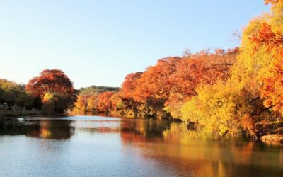 HVAC New Braunfels Company Promotes The Importance Of Fall A/C Maintenance