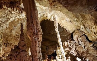 Places to see in New Braunfels, TX