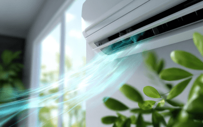 3 Things You Should Know about Indoor Air Quality
