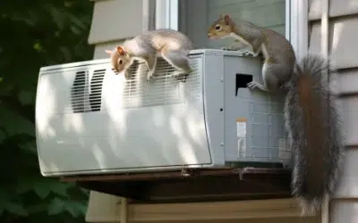 Pest Proofing Your HVAC System
